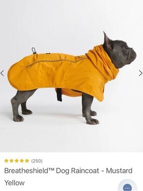 Dog Raincoat in Mustard Yellow